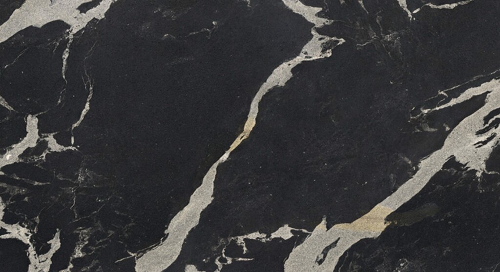 Black Swan H6375